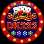 DK222 Game